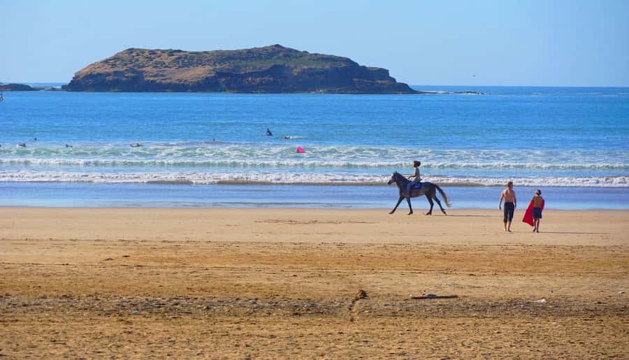 Essaouirra day trip from Marrakech - Essaouira in 4 hours: Medina, Mellah, Kasbah, and the working port