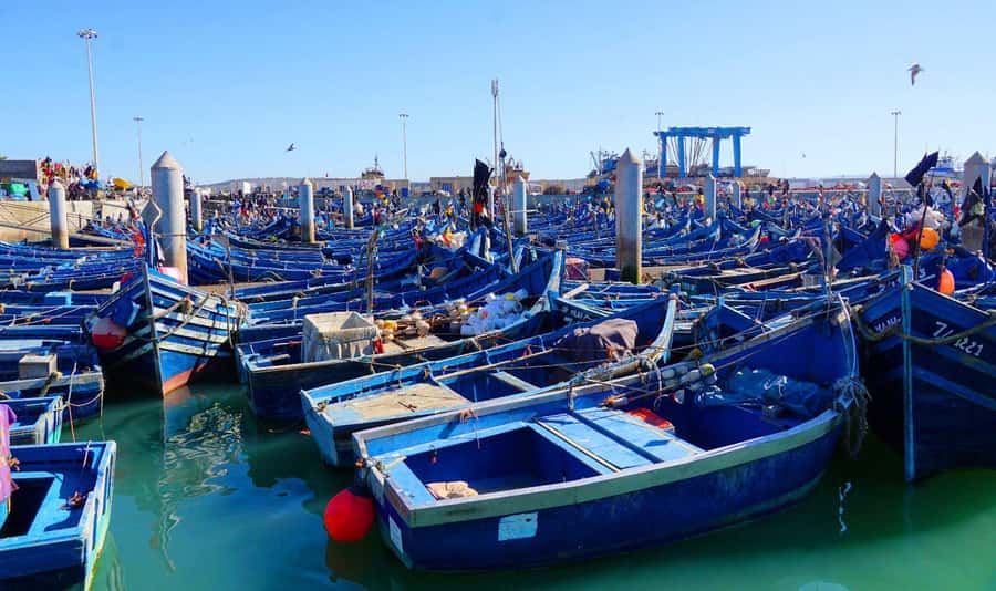 Essaouirra day trip from Marrakech - Markets and crafts: what to buy, what to skip