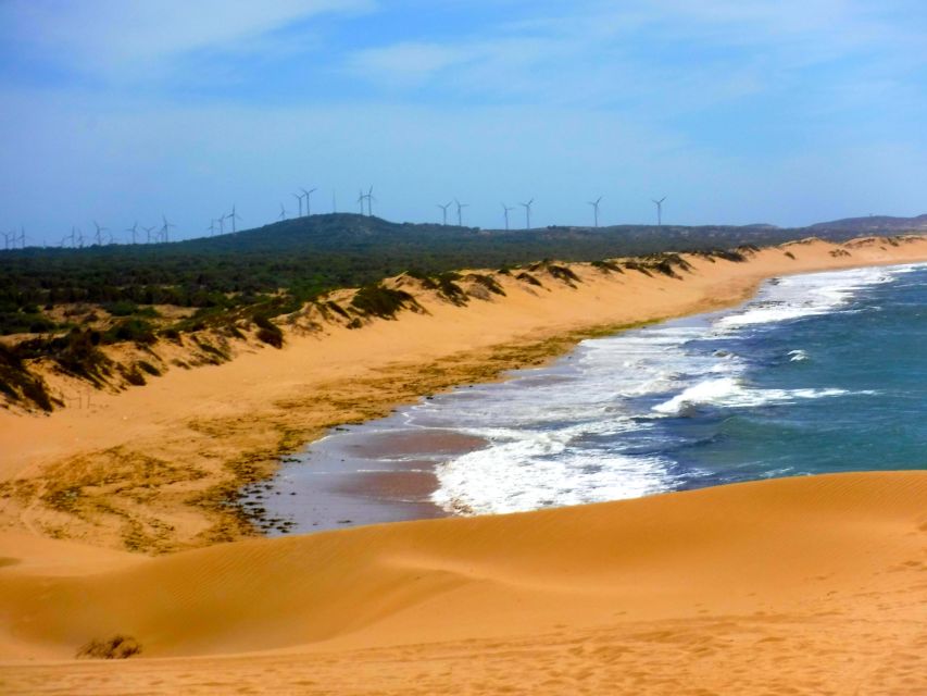 Essaouria: Beach & Big Dunes 2-Hour Quad Biking Tour - Who this tour suits, and the limits you should know