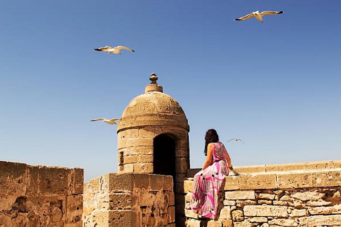 Essouira Full-Day Tour from Agadir with a group - Port de Essaouira and Bab El Marse: Cannons, Sea Air, and the Ending