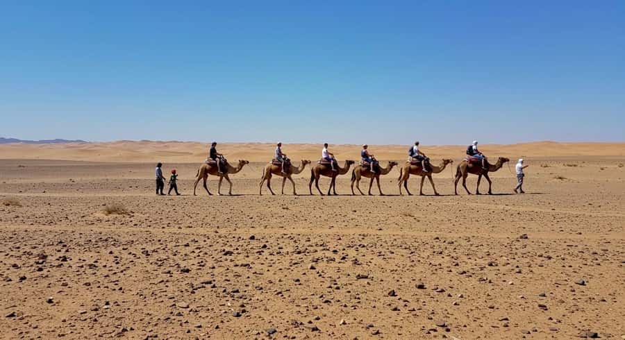 Evening Marrakech: Agafay Desert Quad , Camel & Dinner Shows - Price Value for $23 and Extras Like Solo Quad or Pool Time