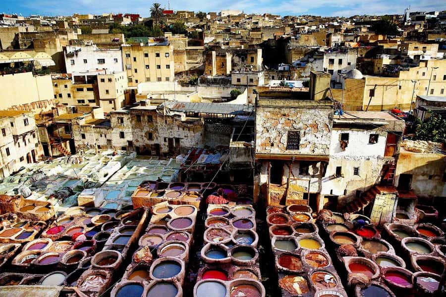 Exclusive Fez Medina Walking Tour with a local Guide - Al-Qarawiyyin area and sacred spaces you should slow down for