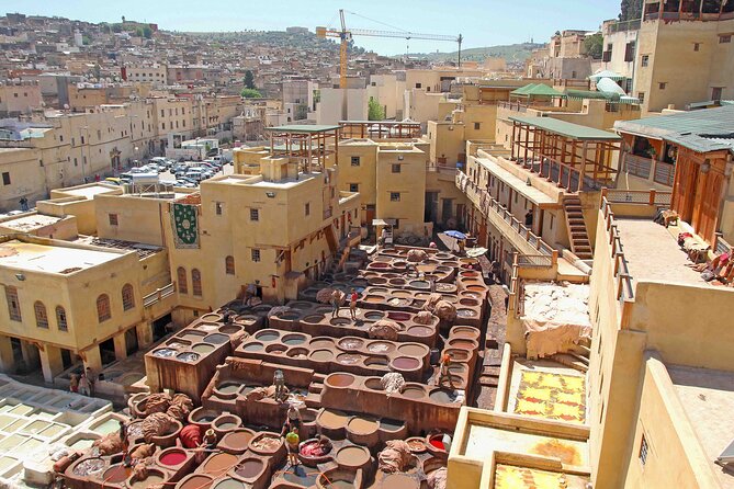Exclusive Fez Medina Walking Tour with Private Guide - Why a private Fez Medina walk beats DIY stress