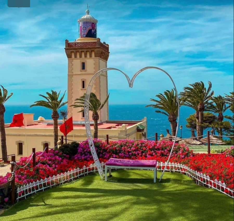 Exclusive Tangier Day Tour from Tarifa To Tanger with Tea - Ferry to Tangier: Why a 4-hour tour works (and where it can feel tight)