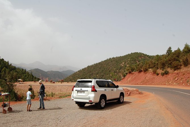 Excursion 3 valleys - Berber lunch - The Main Event: 7 Waterfalls and Setti Fatma at 1800m
