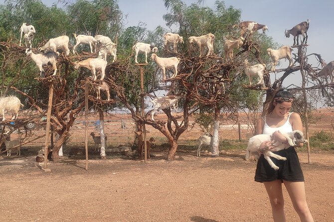 Excursion Essaouira from Marrakech - Key points before you go