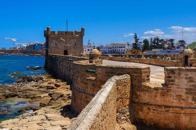Excursion Essaouira from Marrakech - Marrakech To Essaouira: The real time commitment