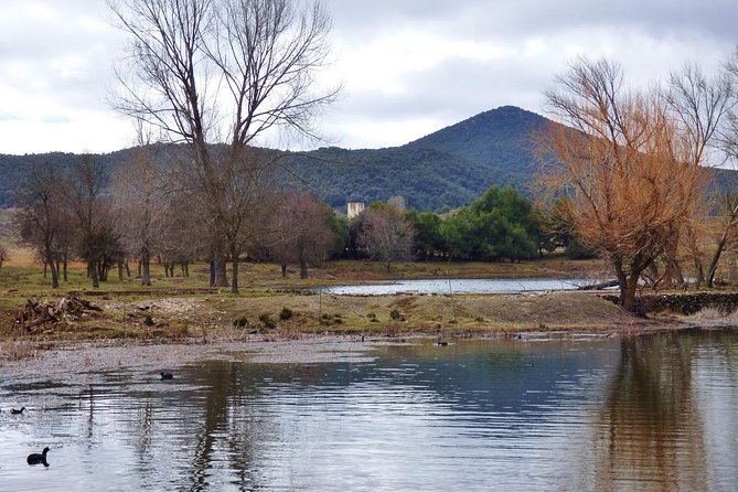 Excursion from Fez to Midle Atlas - Azrou and mountain-town breaks: where the day turns practical