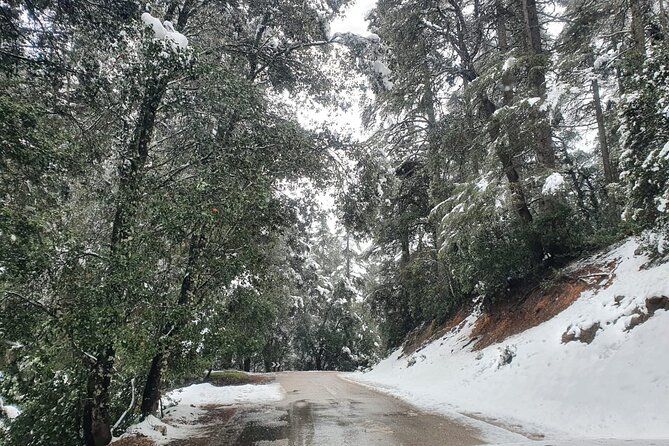 Excursion from Fez to Midle Atlas - The drive from Fez: what 6 to 8 hours feels like
