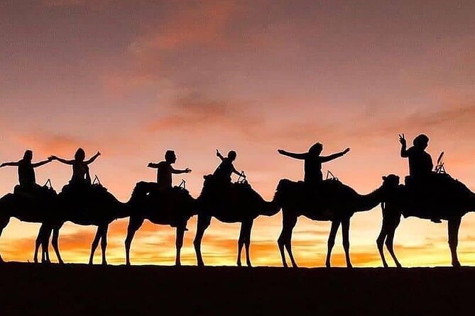 Excursion Les Trois Vallées-Quad Dromedary and dinner show - Marrakech to Ourika Valley, the day starts fast