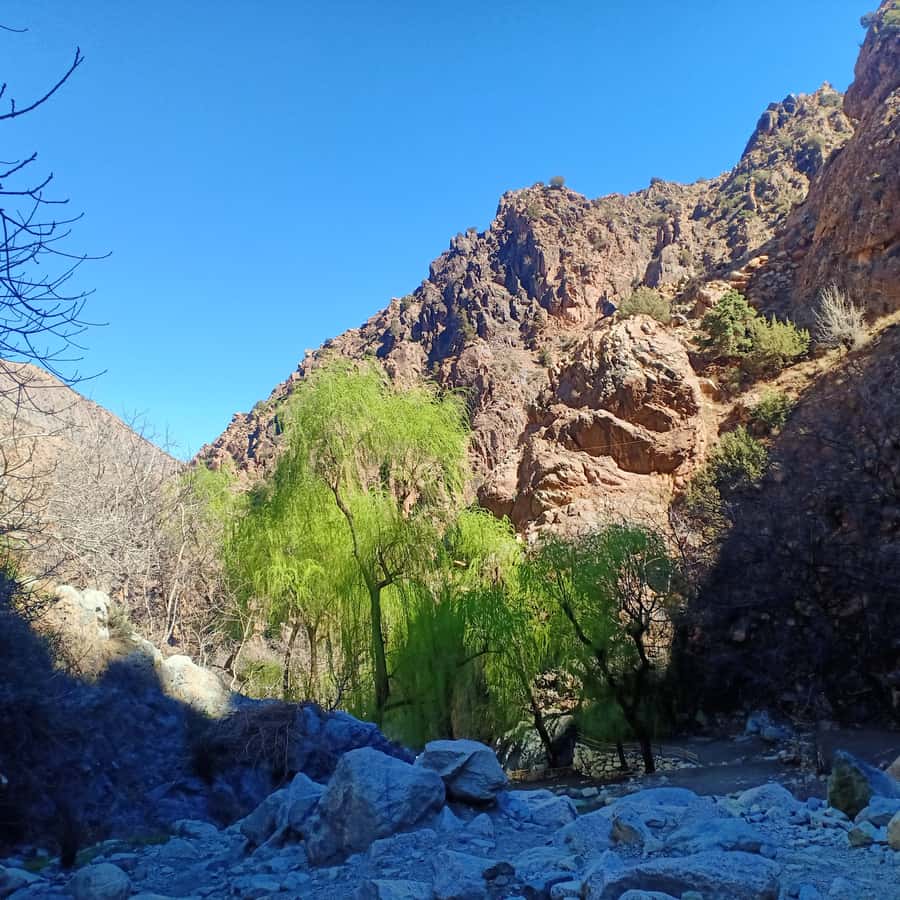 Excursion Ourika valley and atlas mountains with Lunch - Waterfalls Time and Lunch by the River: Plan for a Longish Sit
