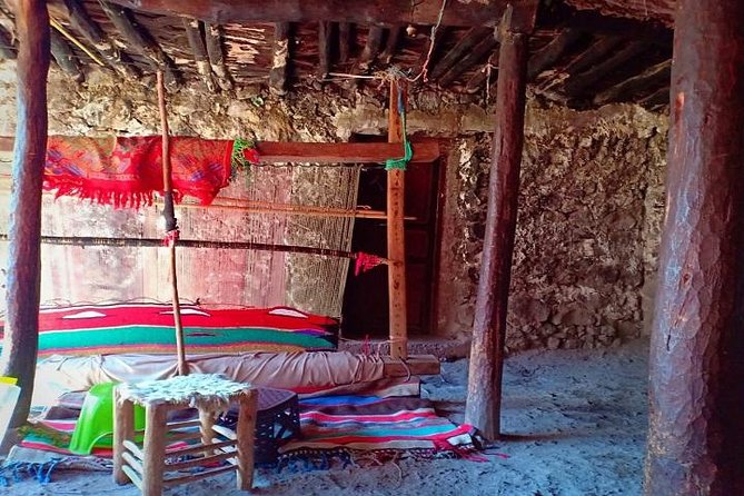 Excursion to The Atlas Mountain from Marrakech - Who this tour is best for, and who should pick something else