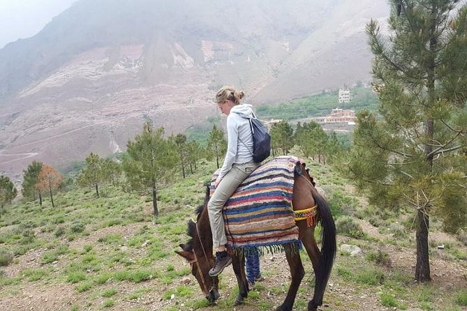 Excursion to The Atlas Mountain from Marrakech - Imlil and the Ait Mizane Valley hike: village paths and mint tea breaks