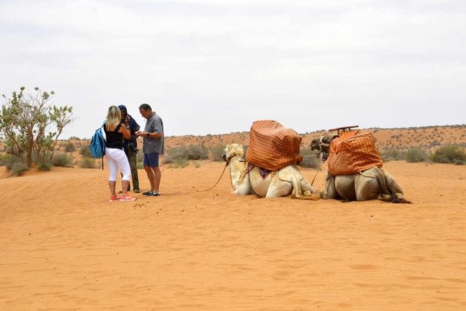 Excursion to the little Sahara, visit Tiznit, Tifnit, & Massa. - Key Highlights You Should Care About