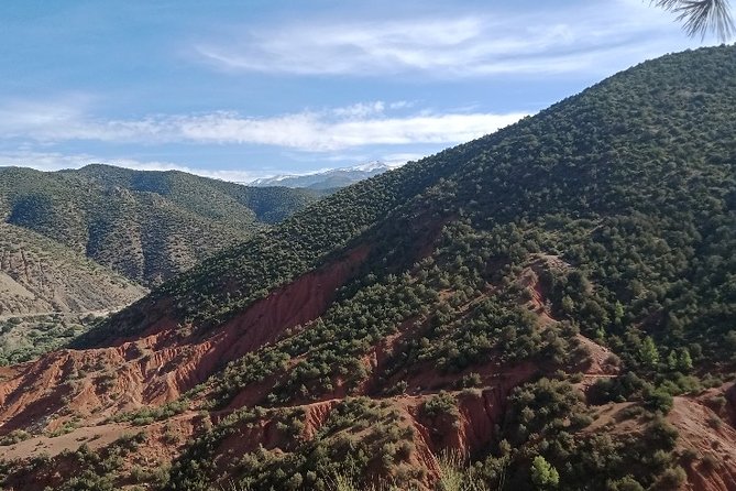 Excursion to the Ourika valleys from Marrakech - 8:00 AM Pickup, Mobile Ticket, and How the Day Stays Smooth