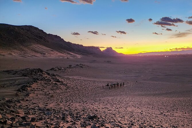 Experience Luxury in Zagora: 2-Day Desert Adventure - A two-day Zagora escape that actually saves you planning time