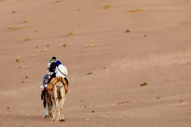 Experience Luxury in Zagora: 2-Day Desert Adventure - Day 1: Tizi n Tichka, Ait Ben Haddou, and Draa Valley stops you can’t really DIY