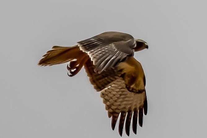 Explore Agadir wildlife national park safari with lunch & pickup - Lunch included, drinks not: a small detail that changes the math