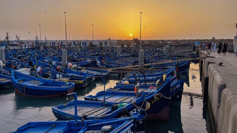Explore Essaouira's Secrets: A Guided Tour with a Local! - Skala du Port dEssaouira Fort Walls and Sunset Views