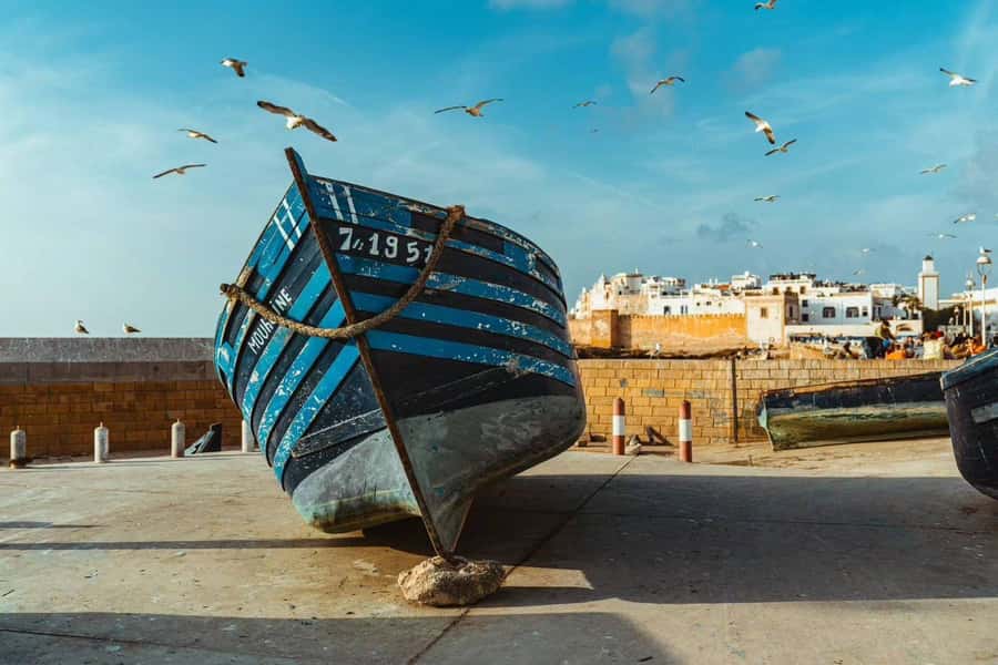 Explore Essaouira's Secrets: A Guided Tour with a Local! - Seafood Lunch Break and How to Eat Like a Local Here