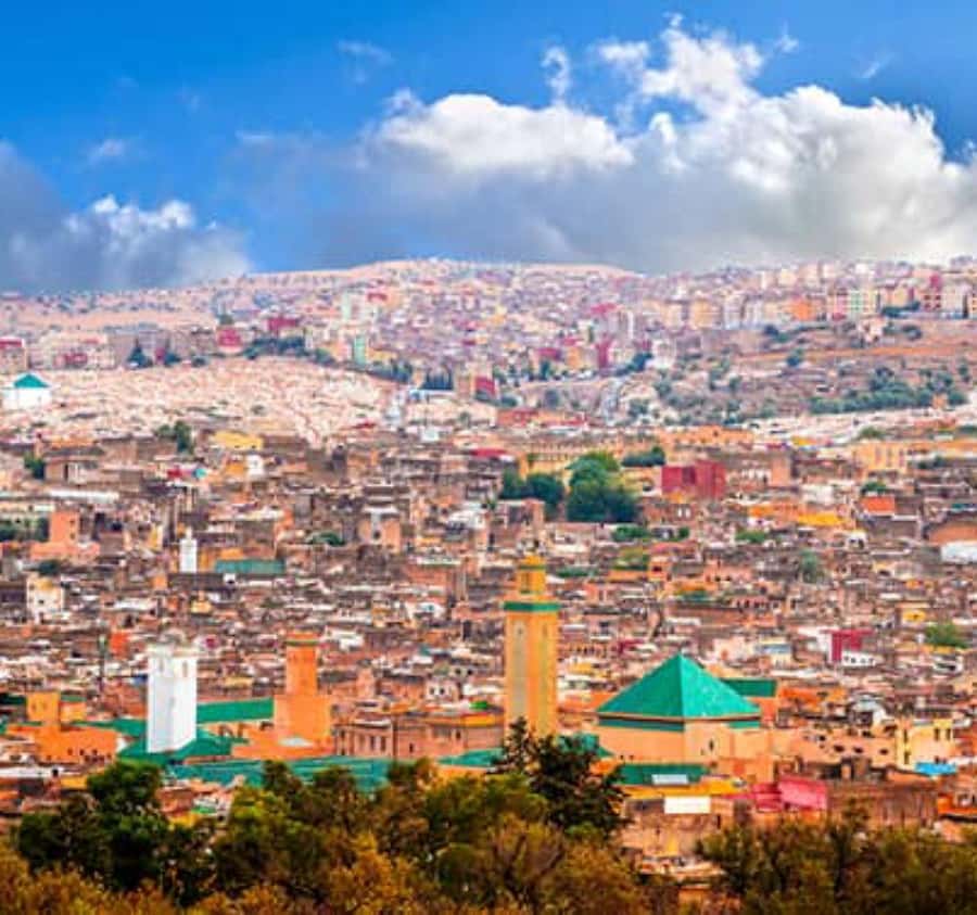 Explore Fes: Unforgettable Guided Walking Tour of the Medina - Who should book this tour, and who might want a different plan