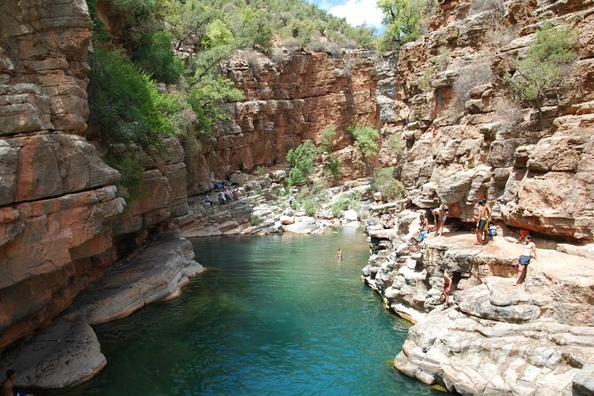 Explore Paradise Valley and Atlas Mountains in Agadir - Stop 1: Agadir botanic garden, a quick palate cleanser in the city