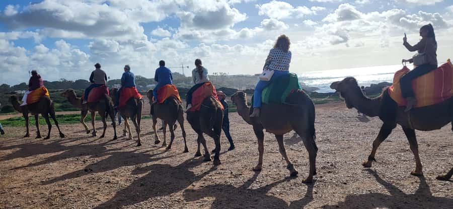 Explore Tangier: Cap Spartel, Cave, & Camel Ride Adventure - Who This Tour Fits Best in Tangier