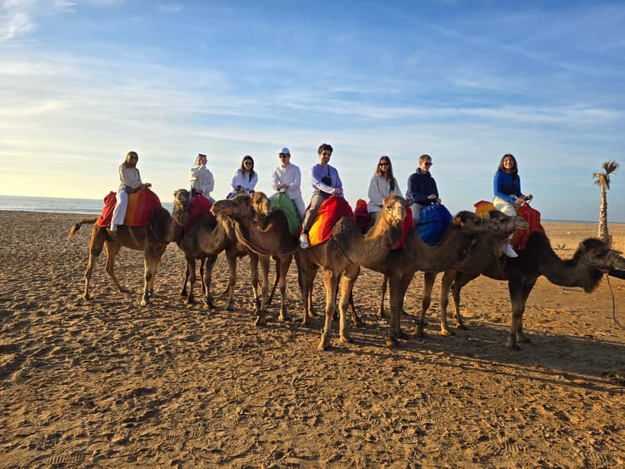 Explore Tangier: Cap Spartel, Cave, & Camel Ride Adventure - Price and Value at $33, Plus Entrance Fees