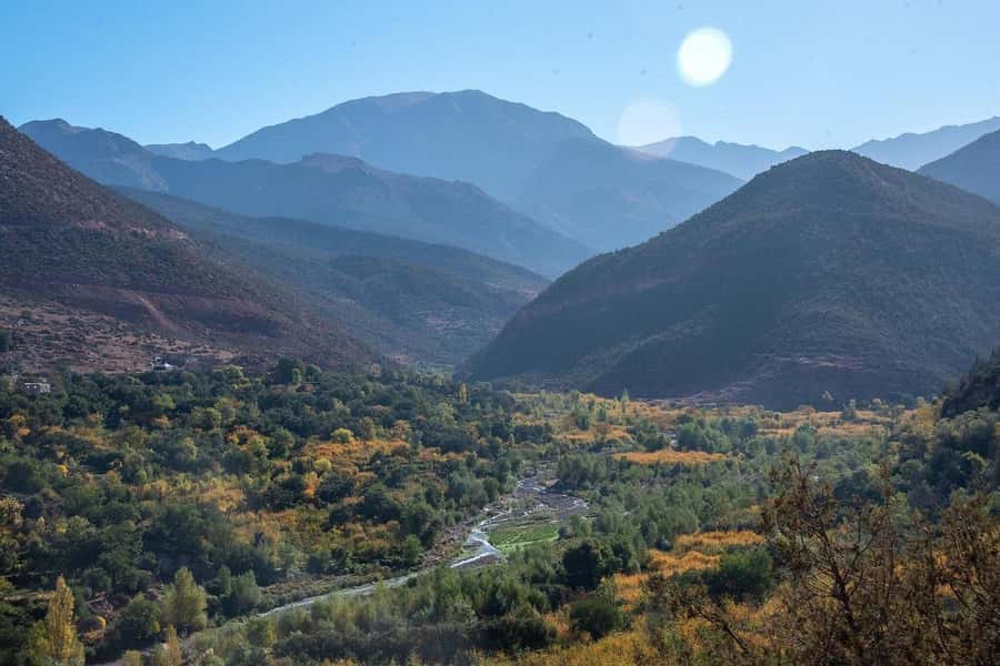 Explore the Atlas Mountains & waterfalls - Half Day Tour - What to Pack for an Easy Morning That Still Feels Like Adventure