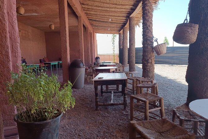 Explore the Marrakech Palm Desert in Buggy - Who Should Book This, and Who Should Skip It