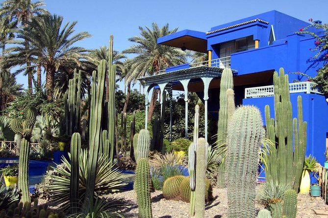 Exploring Marrakesh in half-day sightseeing tour - Menara Gardens and Pavilion: a cool reset for the senses
