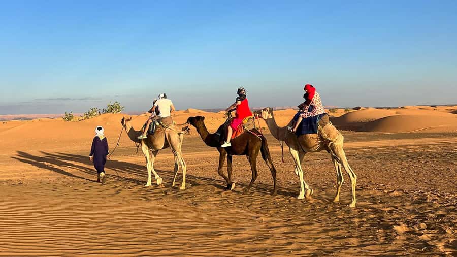 Fes: 3 Days Desert Tour from Fes back to Fez - Erg Chebbi camel sunset and your Berber camp night