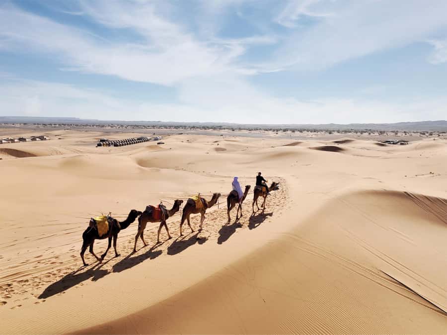 Fes: 3 Days Desert Tour from Fes back to Fez - Day 1: Ifrane, cedar forests near Azrou, and the Ziz Valley to Merzouga