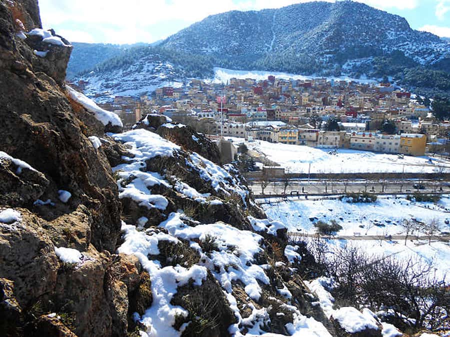 Fes, Berber and Middle Atlas Day Trip - Who Should Book It, and Who Should Skip It