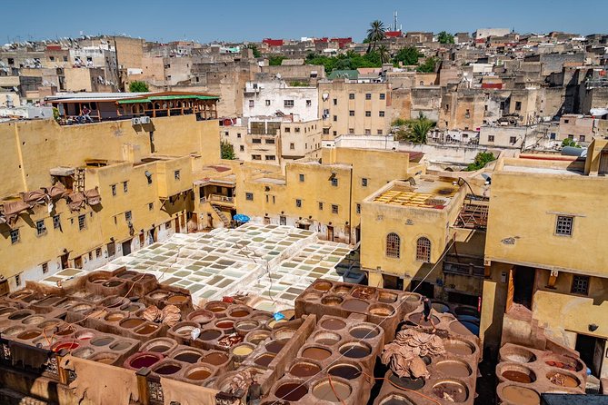 Fes Guided Tours Full Day - Royal Palace Stops, the Mellah, and Fort Views You Will Remember