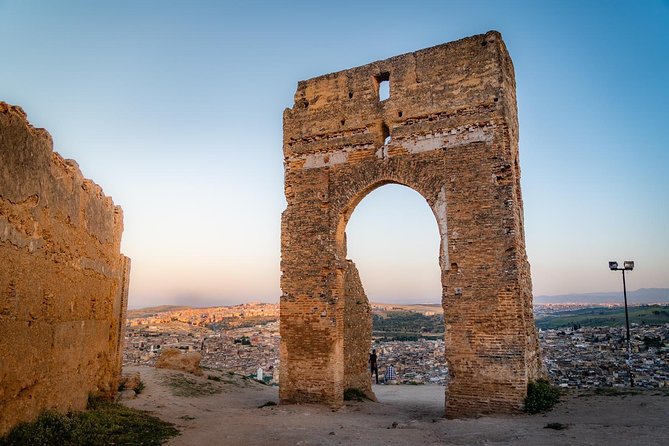 Fes Guided Tours Full Day - Chouara Tannery and Craft Stops: Seeing Traditional Leather Up Close