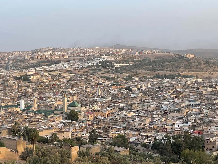 Fes: Medina Guided Tour with Local - Chaouwara Tannery: how to enjoy it without getting overwhelmed