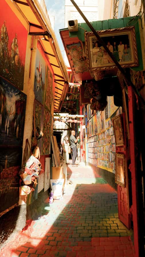 Fes: Royal Palace, Madrasa, Tannery & Souks and Medina Tour - Chouara Tanneries and artisan workshops, the smell and the skill