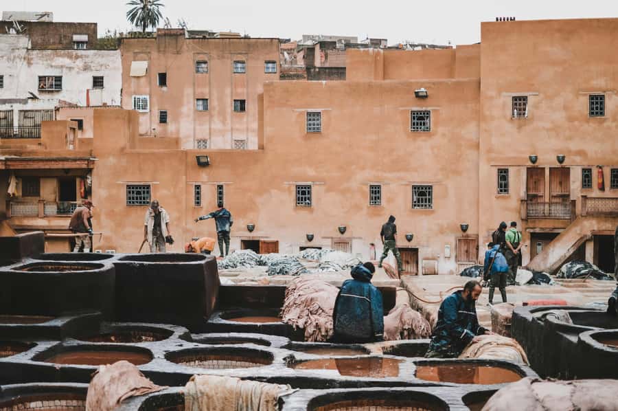 Fes: Royal Palace, Madrasa, Tannery & Souks and Medina Tour - Price and value for a 4-hour loop at about $15