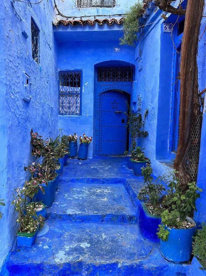 Fes to Chefchaouen Day Trip multi languages(EN/FR/ES/IT/AR) - A one-day rhythm from Fes to the Blue City