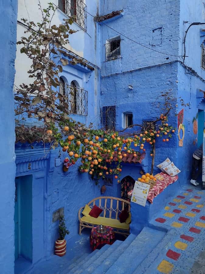 Fes to Chefchaouen Day Trip multi languages(EN/FR/ES/IT/AR) - Drivers, pace, and comfort: what to expect in the vehicle