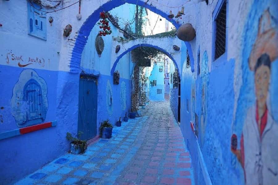 Fes to Chefchaouen Day Trip multi languages(EN/FR/ES/IT/AR) - Price and value: what $28 buys you
