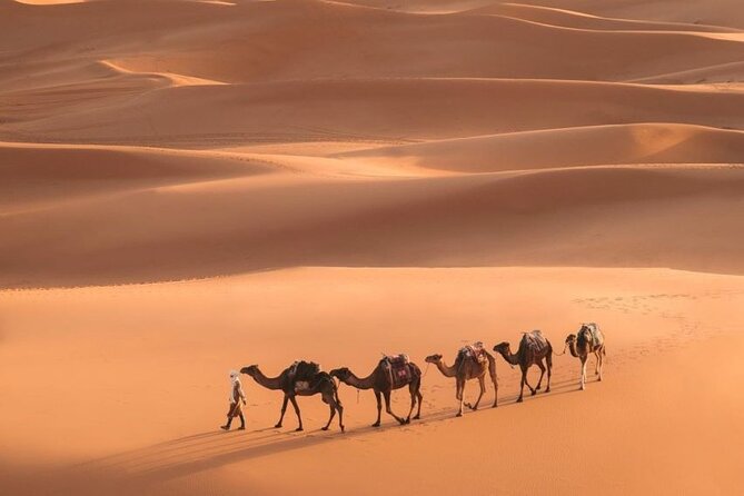 Fes To Marrakech: 3-Day Desert Tour - Morning Pickup and the Reality of Long Road Time