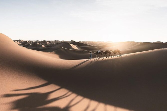 Fes To Marrakech: 3-Day Desert Tour - The Desert Camp Night in Erg Chebbi: Stars, Silence, and the Real Packing Test