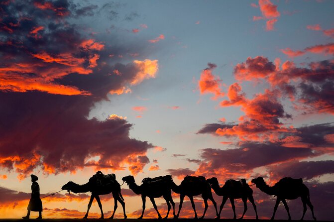 Fes To Marrakech: 3-Day Desert Tour - Day 2: Sunrise Choices, Todra Gorge, and Dades Valley Views