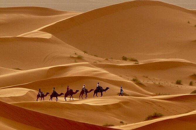 Fes To Marrakech: 3-Day Desert Tour - Price and Value: What $221 Really Buys You