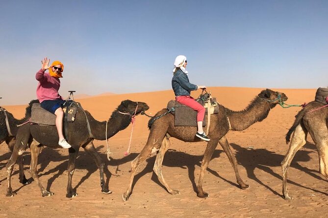 Fes To Marrakech : 3 Days Tour Via The Desert Of Merzouga & Camel - Day 2: Sunrise Camels, Toudgha Gorges, and One More Atlas Night in Dades Valley