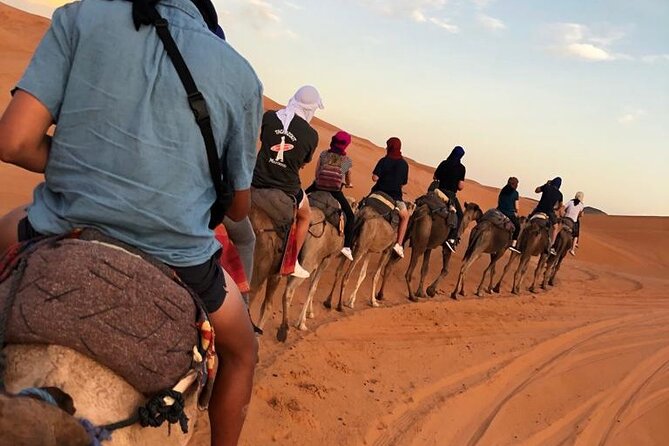 Fes To Marrakech : 3 Days Tour Via The Desert Of Merzouga & Camel - Day 3: Ouarzazate Kasbahs, Cinema Museum, Ait Ben Haddou, Then Marrakech