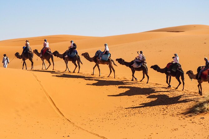 Fes To Marrakech : 3 Days Tour Via The Desert Of Merzouga & Camel - Comfort, Timing, and the One Thing You Must Plan For: Road Time