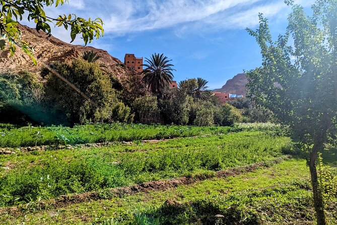 Fes To Marrakech : 3 Days Tour Via The Desert Of Merzouga & Camel - Who This Tour Fits Best (And Who Might Want Something Different)